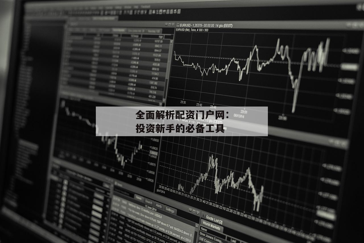 全面解析配资门户网：投资新手的必备工具