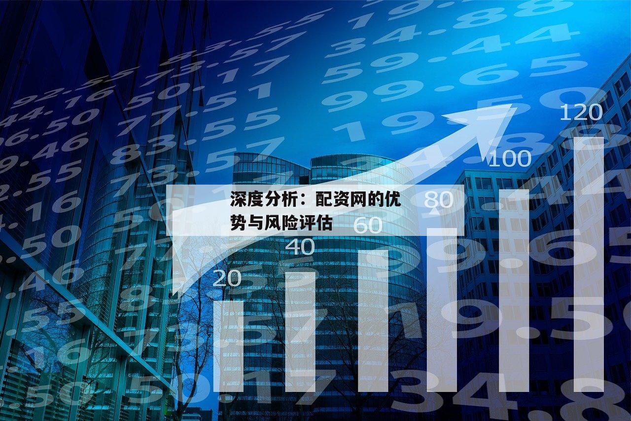深度分析：配资网的优势与风险评估