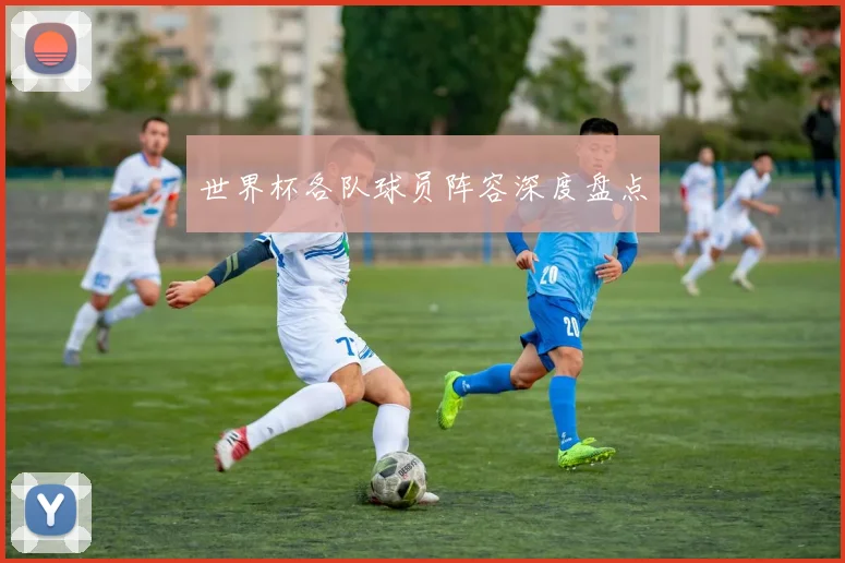 世界杯各队球员阵容深度盘点