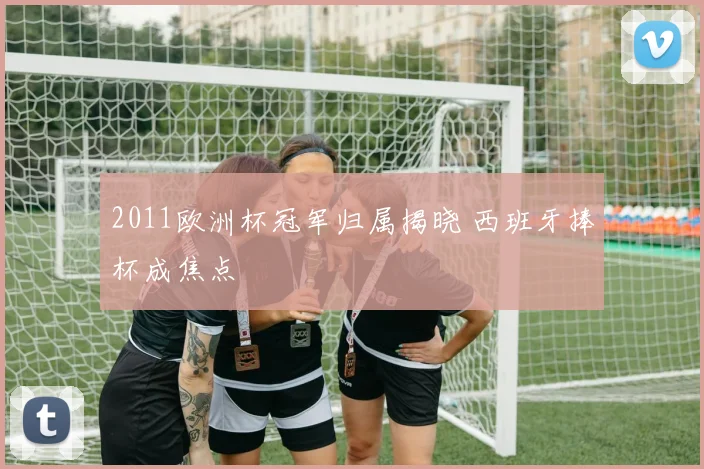 2011欧洲杯冠军归属揭晓 西班牙捧杯成焦点